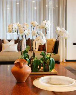 1277星际电子(中国游)官方游戏网址